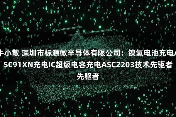 牛小散 深圳市标源微半导体有限公司：镍氢电池充电ASC91XN充电IC超级电容充电ASC2203技术先驱者