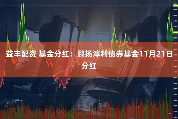 益丰配资 基金分红：鹏扬淳利债券基金11月21日分红
