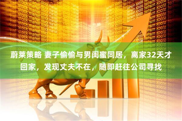 蔚莱策略 妻子偷偷与男闺蜜同居，离家32天才回家，发现丈夫不在，随即赶往公司寻找